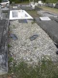 image of grave number 720038
